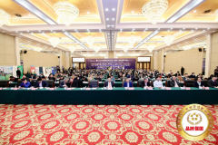 曼玲集团受邀出席2020品牌强国经济论坛，荣获双项大奖！