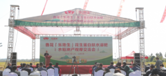 鲁花“乐地生”花生蛋白肽水溶肥水稻测产观摩会 在江